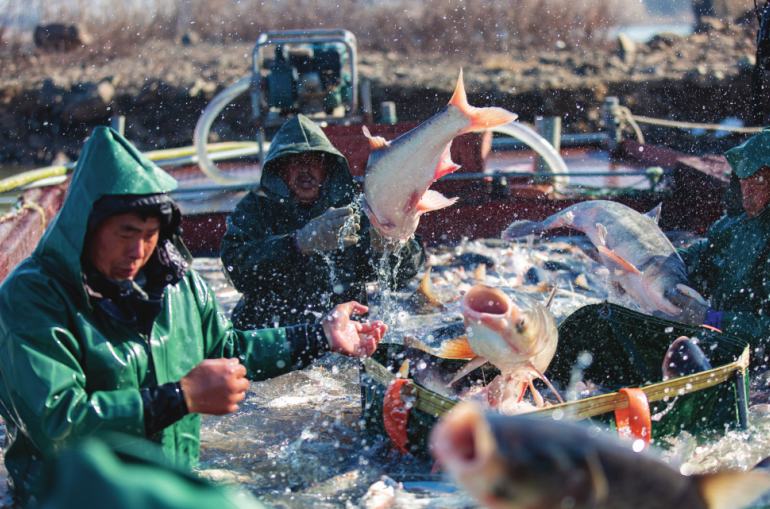 中国·明光第二届女山湖火山生态鱼冬捕节开幕