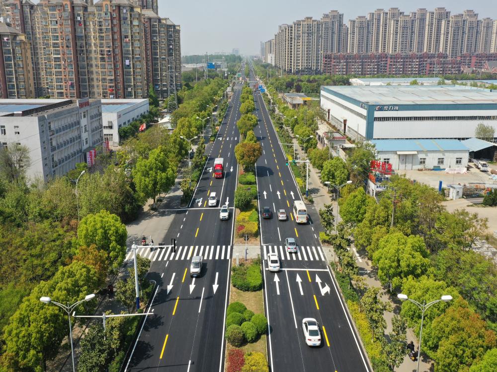上海路（凤阳路-世纪大道）快车道
